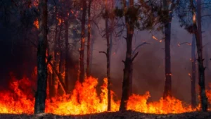 Ελλάδα: 71 πυρκαγιές σε 12 ώρες