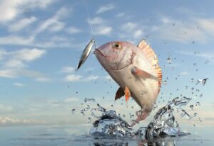 «Χαράτσι» και στο ψάρεμα: Αλλάζουν όλα για όλους με το νέο νόμο