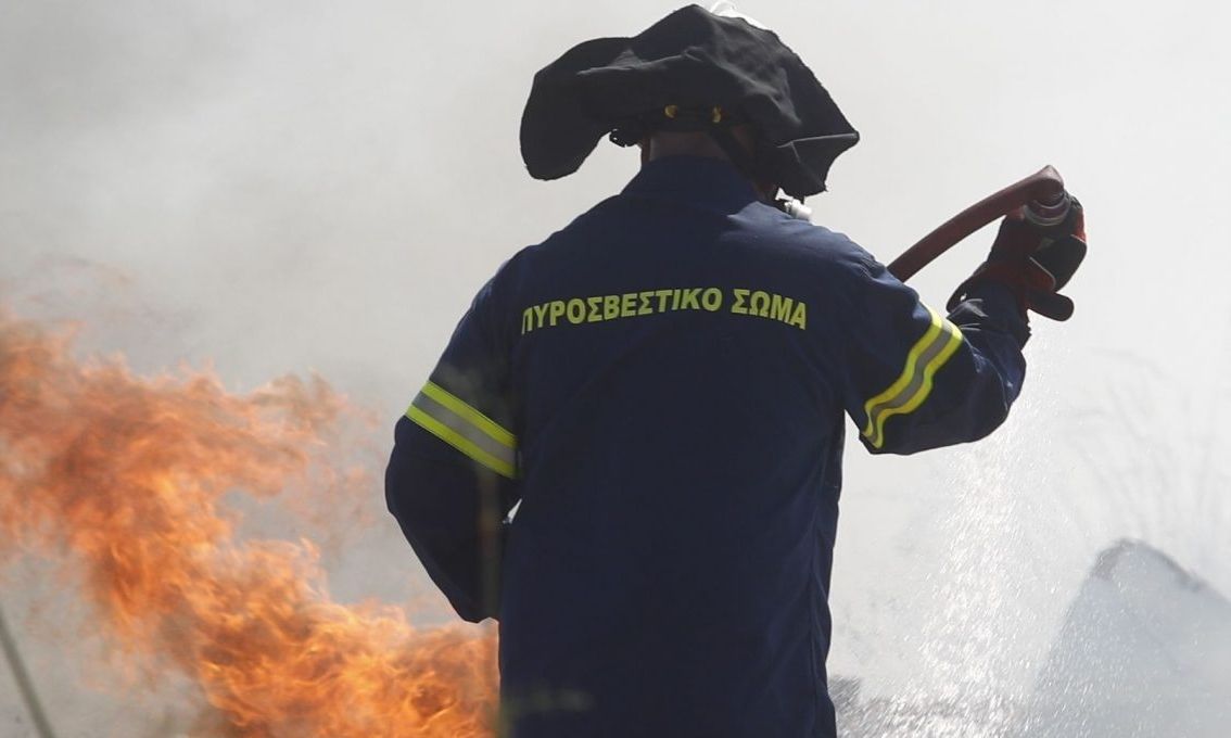 Φωτιά στην Χαλκιδική - Κινητοποιήθηκαν 47 πυροσβέστες