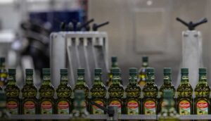 Ελαιόλαδο: Τι έρχεται με τις τιμές το 2025