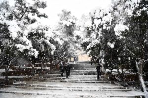 Θέρμανση: Δείτε με παραδείγματα ποια συμφέρει για τον Χειμώνα