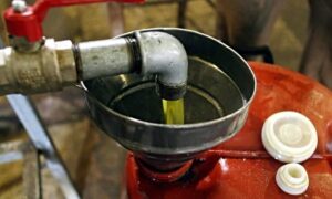 Ελαιόλαδο: Πόσο πωλείται σήμερα ο τενεκές – Τιμή σε Λακωνία, Μεσσηνία, Κρήτη