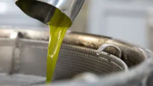 Ελαιόλαδο: Έπεσε η τιμή στα ελαιοτριβεία
