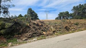 Έχεις ακαθάριστο οικόπεδο; Από πότε ξεκινάνε οι έλεγχοι